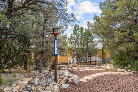 Exterior - 2967 E Lookout Ln, Overgaard, AZ 85933 photo 4 of 8