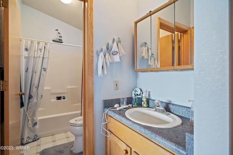 Bath - 2967 E Lookout Ln, Overgaard, AZ 85933 photo 1 of 3