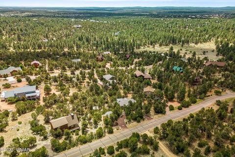 View/Area - 2967 E Lookout Ln, Overgaard, AZ 85933 photo 2 of 5