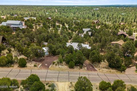 View/Area - 2967 E Lookout Ln, Overgaard, AZ 85933 photo 1 of 5