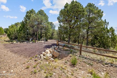 Exterior - 2967 E Lookout Ln, Overgaard, AZ 85933 photo 3 of 8