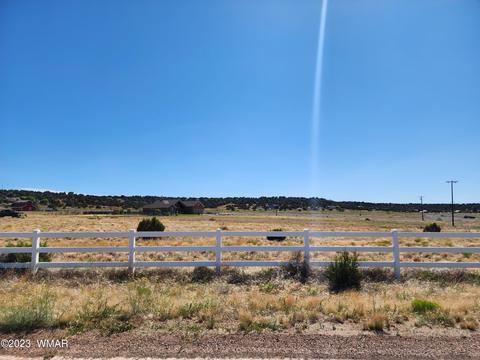 7598 Mission Hill Rd, Taylor, AZ 85939