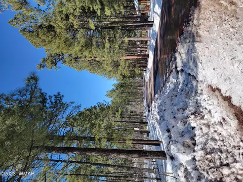 tbd Deep Forest Dr, Pinetop, AZ 85935