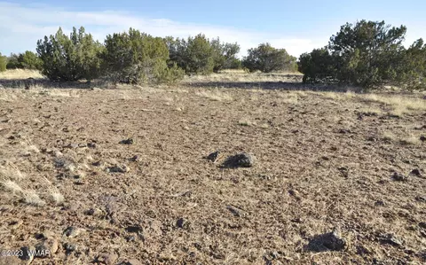 13 Wagon Ln # e, Show Low, AZ 85901 photo 4