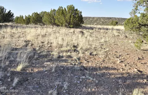 13 Wagon Ln # e, Show Low, AZ 85901 photo 3