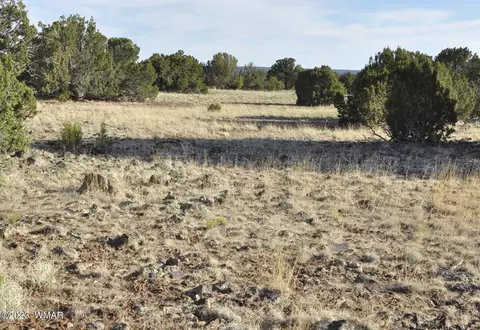 13 Wagon Ln # e, Show Low, AZ 85901 photo 8