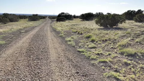 13 Wagon Ln # e, Show Low, AZ 85901 photo 2