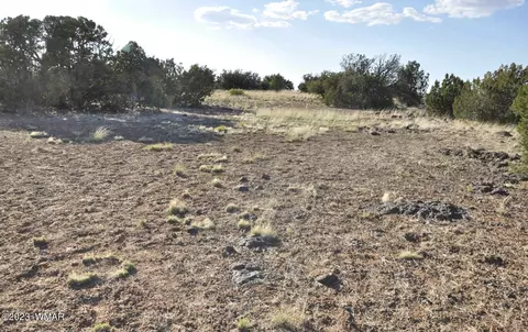 13 Wagon Ln # e, Show Low, AZ 85901 photo 5