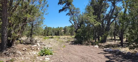 3181 Trailblazer Dr, Overgaard, AZ 85933 photo 7