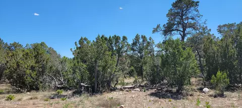 3181 Trailblazer Dr, Overgaard, AZ 85933