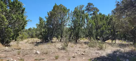 3181 Trailblazer Dr, Overgaard, AZ 85933 photo 6