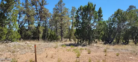 3181 Trailblazer Dr, Overgaard, AZ 85933 photo 5