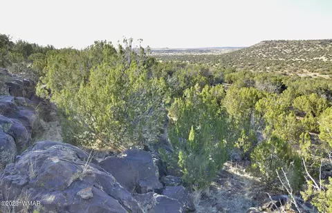 13 Wagon Ln # f, Show Low, AZ 85901
