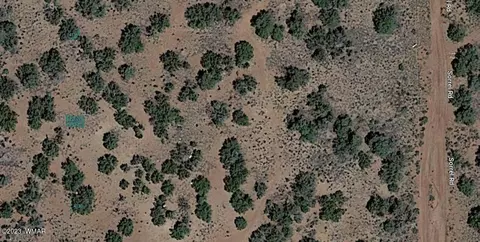 4130 Sorrel Rd, Snowflake, AZ 85937