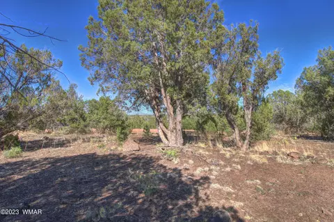 8333 Skyline Dr, Show Low, AZ 85901