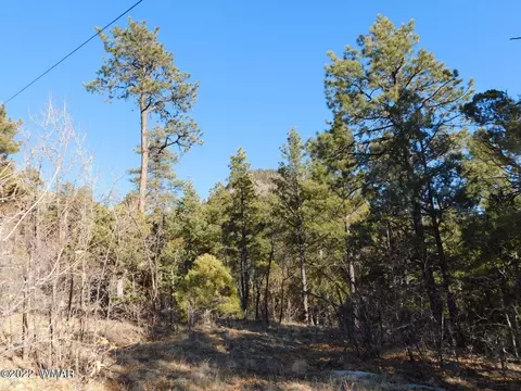lot34 County Rd 2279, Nutrioso, AZ 85932