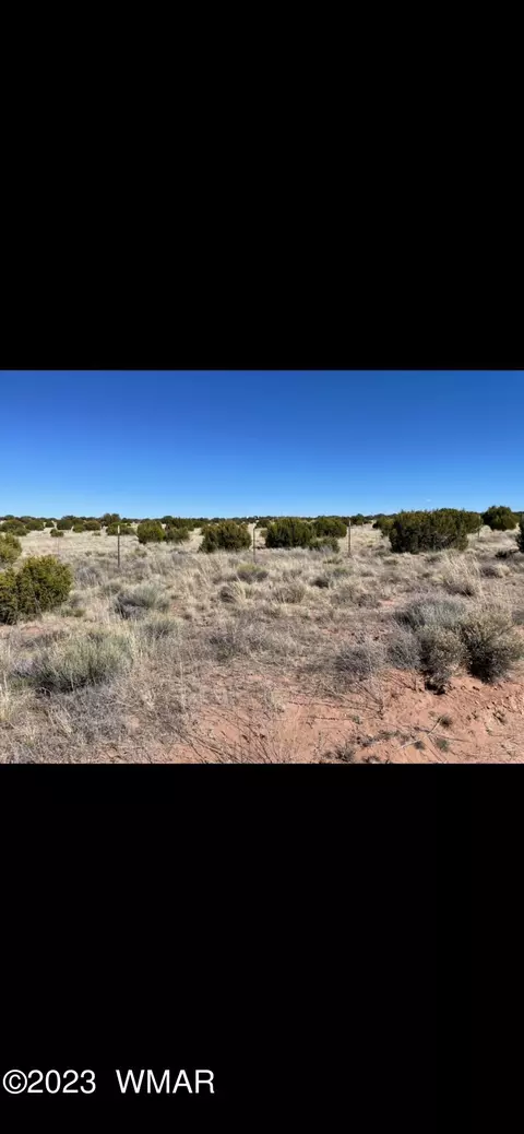 lot142 River Spgs UNIT ST, Johns, AZ 85936