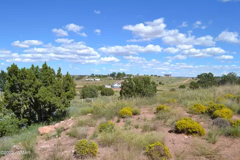 tbd Chris Ln, Taylor, AZ 85939