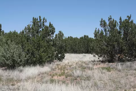 8494 Basalt Pl, Show Low, AZ 85901