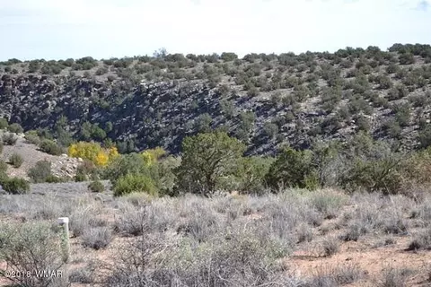 4459 Silver Hawk Trl, Snowflake, AZ 85937 photo 6