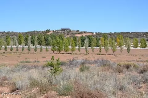 4459 Silver Hawk Trl, Snowflake, AZ 85937 photo 10
