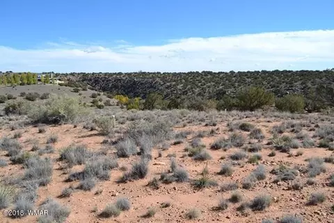 4459 Silver Hawk Trl, Snowflake, AZ 85937 photo 5