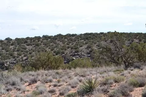 4459 Silver Hawk Trl, Snowflake, AZ 85937 photo 9