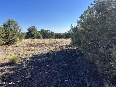 1757 Silver Lake Blvd, Show Low, AZ 85901
