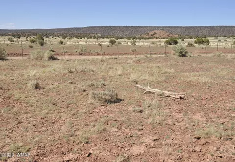 13 Phillips, Snowflake, AZ 85937 photo 6