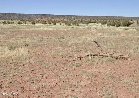 13 Phillips, Snowflake, AZ 85937 photo 9