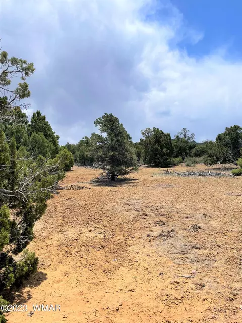 12 County Road 3038, Concho, AZ 85924