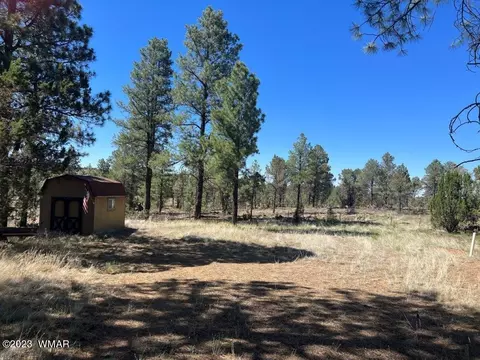 3164 Tonto Dr, Overgaard, AZ 85933 photo 3