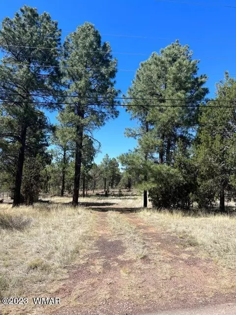 3164 Tonto Dr, Overgaard, AZ 85933 photo 8