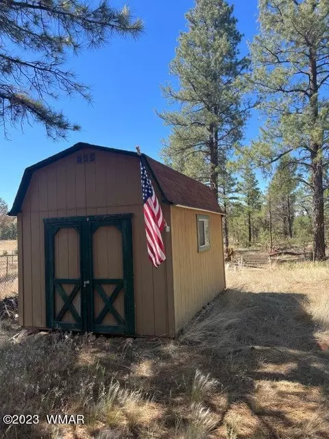 3164 Tonto Dr, Overgaard, AZ 85933 photo 6