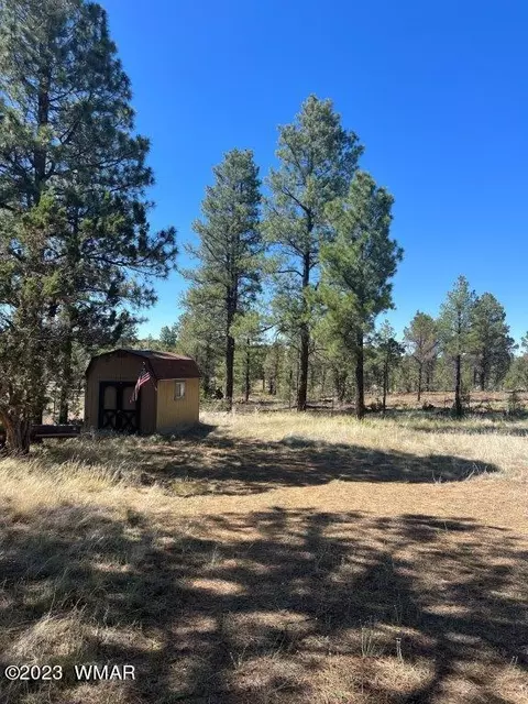 3164 Tonto Dr, Overgaard, AZ 85933 photo 4