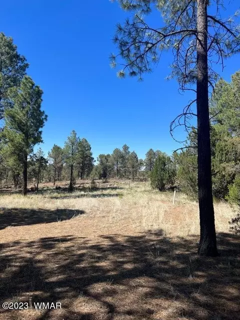 3164 Tonto Dr, Overgaard, AZ 85933 photo 5