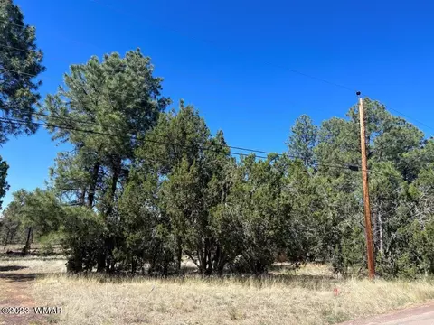 3164 Tonto Dr, Overgaard, AZ 85933 photo 2