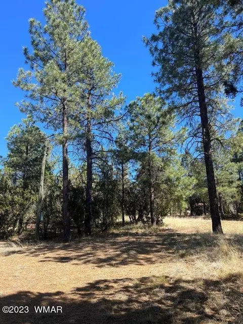 3164 Tonto Dr, Overgaard, AZ 85933 photo 7
