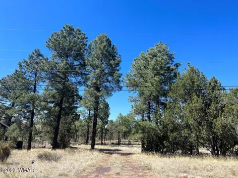 3164 Tonto Dr, Overgaard, AZ 85933