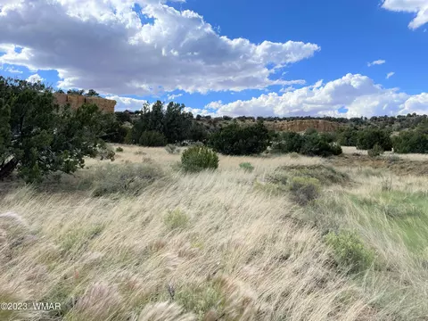 5 County Road 8024, Concho, AZ 85924 photo 1