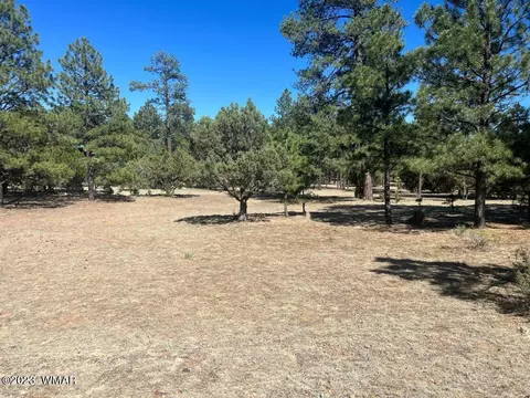 2975 Arrowhead Dr, Overgaard, AZ 85933 photo 5