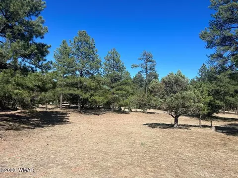 2975 Arrowhead Dr, Overgaard, AZ 85933 photo 3