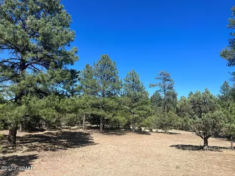 2975 Arrowhead Dr, Overgaard, AZ 85933 photo 4