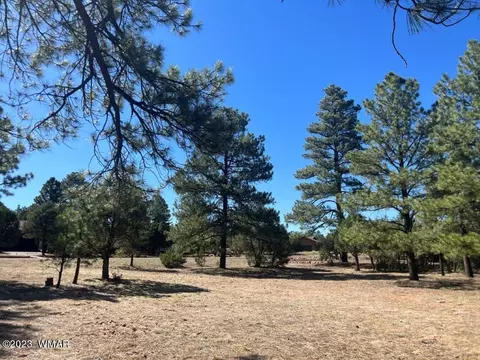 2975 Arrowhead Dr, Overgaard, AZ 85933 photo 2