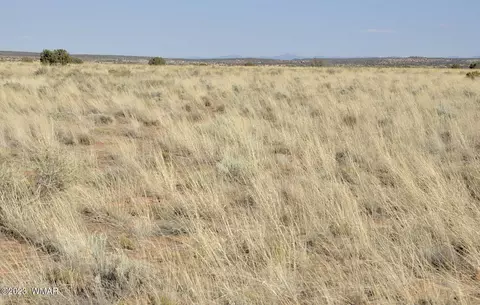Tract 4 Percheron Ln, Snowflake, AZ 85937