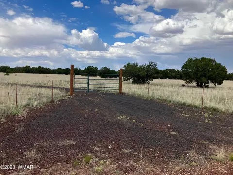 8692 Sitgreaves Pl, Show Low, AZ 85901