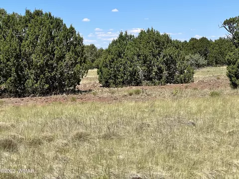 lot011 B, Vernon, AZ 85940