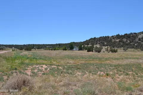 tbd Cedar Hollow Ln, Taylor, AZ 85939