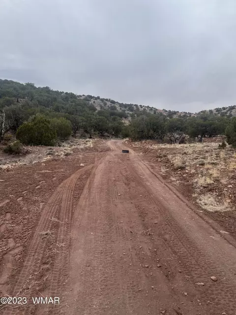 tbd 201-73-045a, Concho, AZ 85924