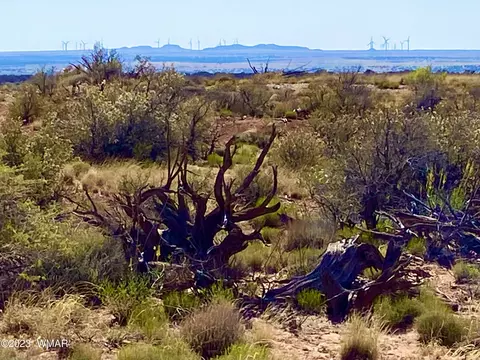 Tbd Willis Hill Trail 21.66 Acres, Snowflake, AZ 85937